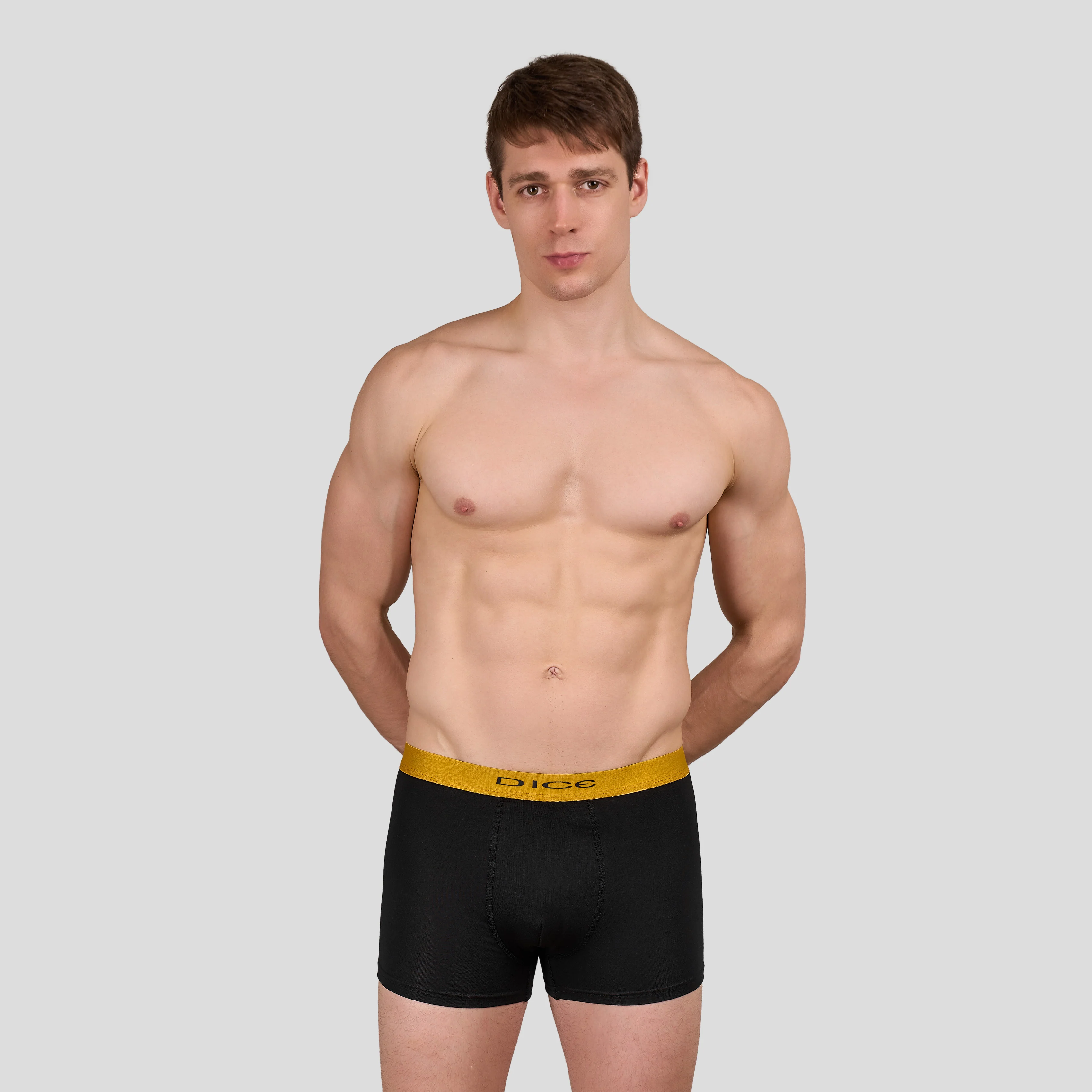 Plain Boxer - Image 11