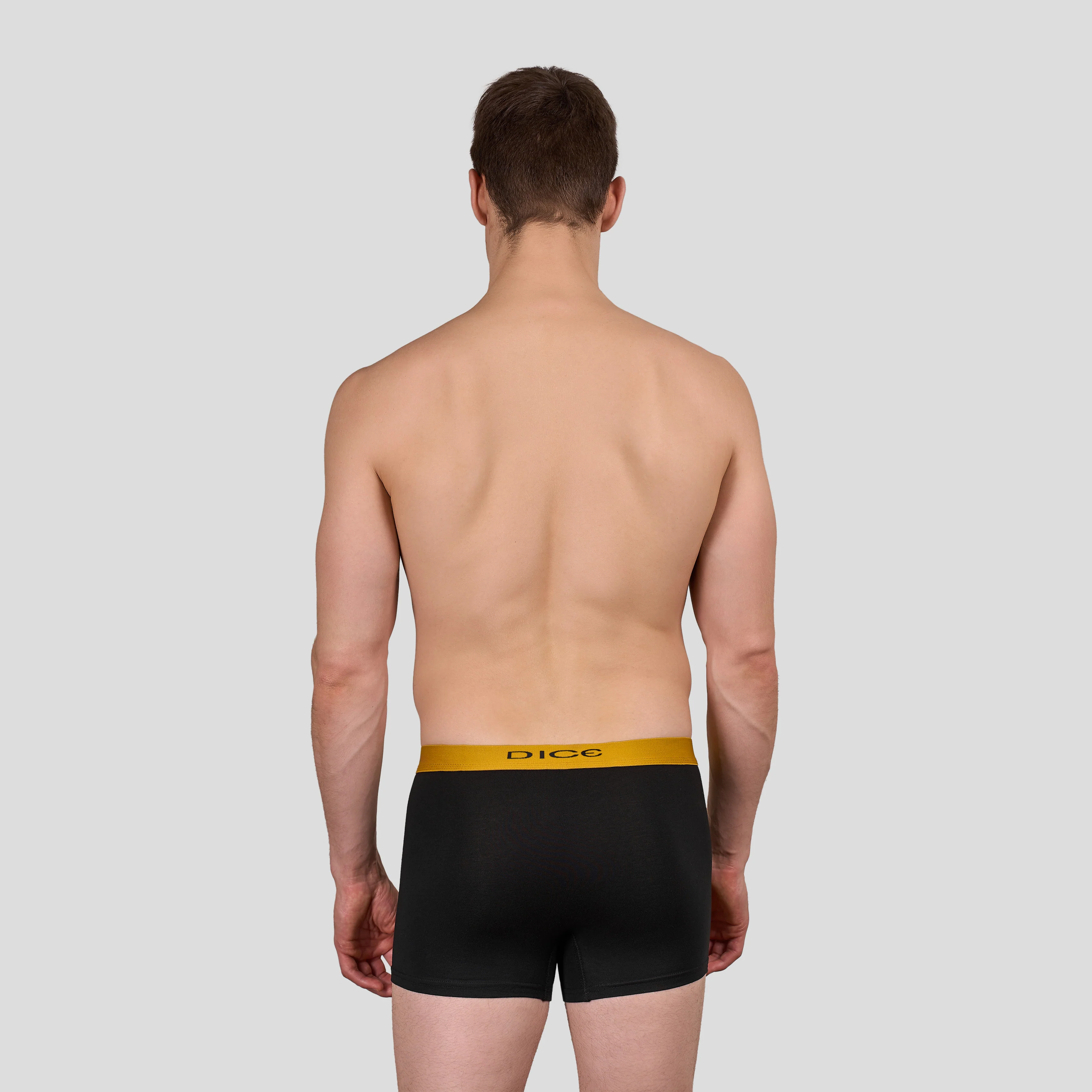 Plain Boxer - Image 12