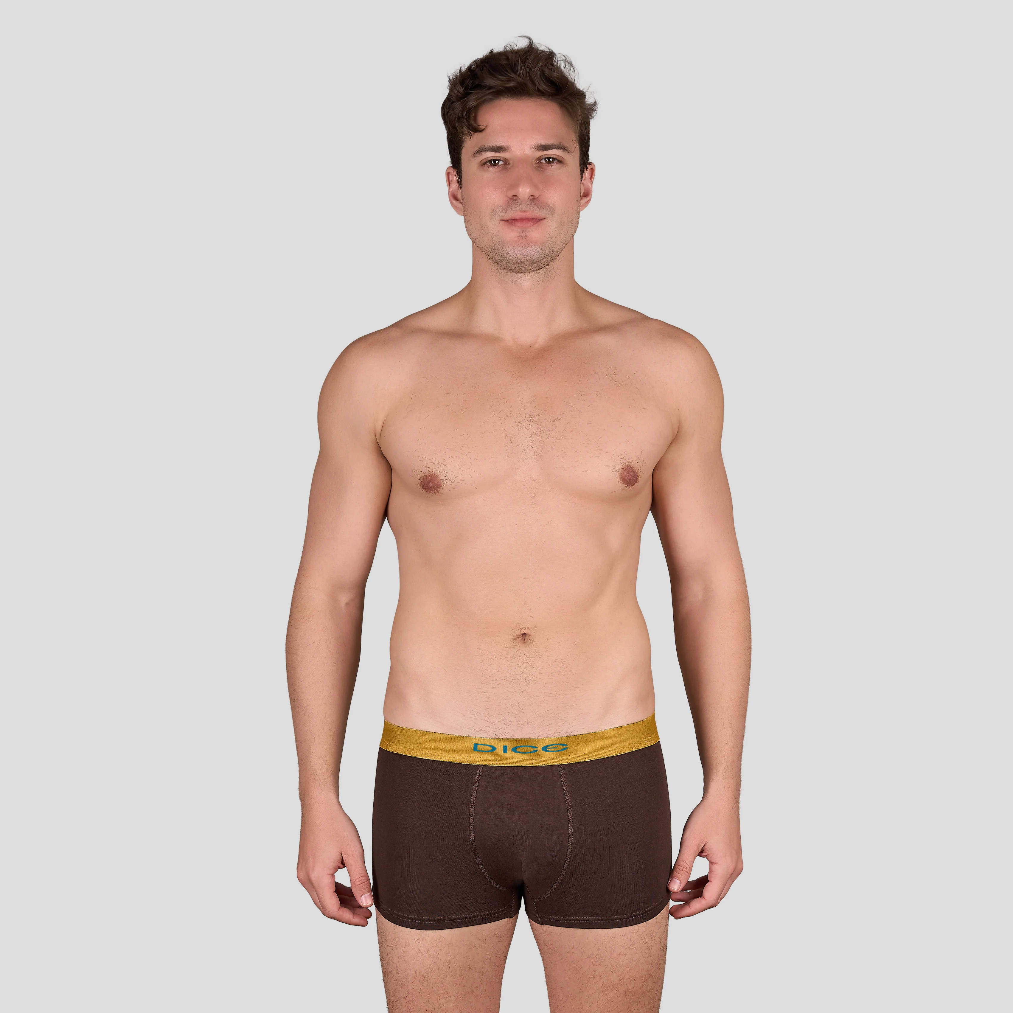 Plain Boxer - Image 14
