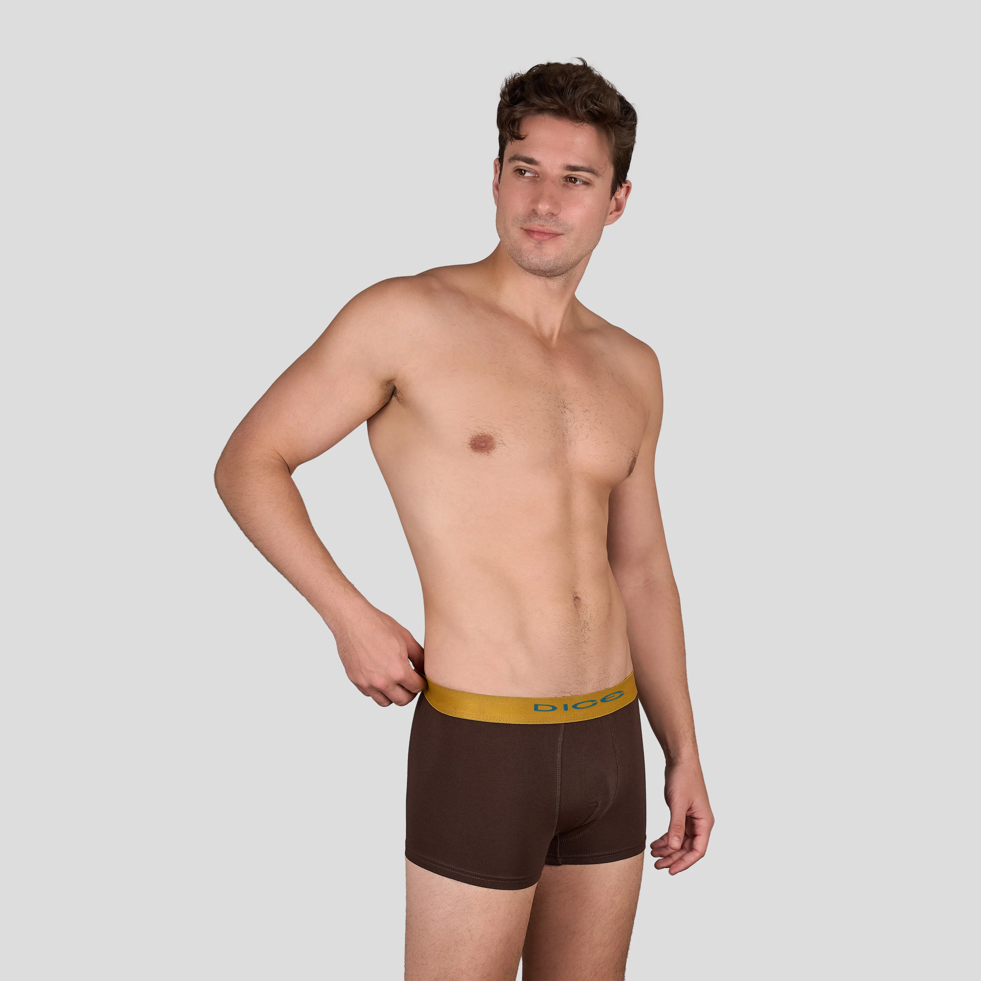 Plain Boxer - Image 16