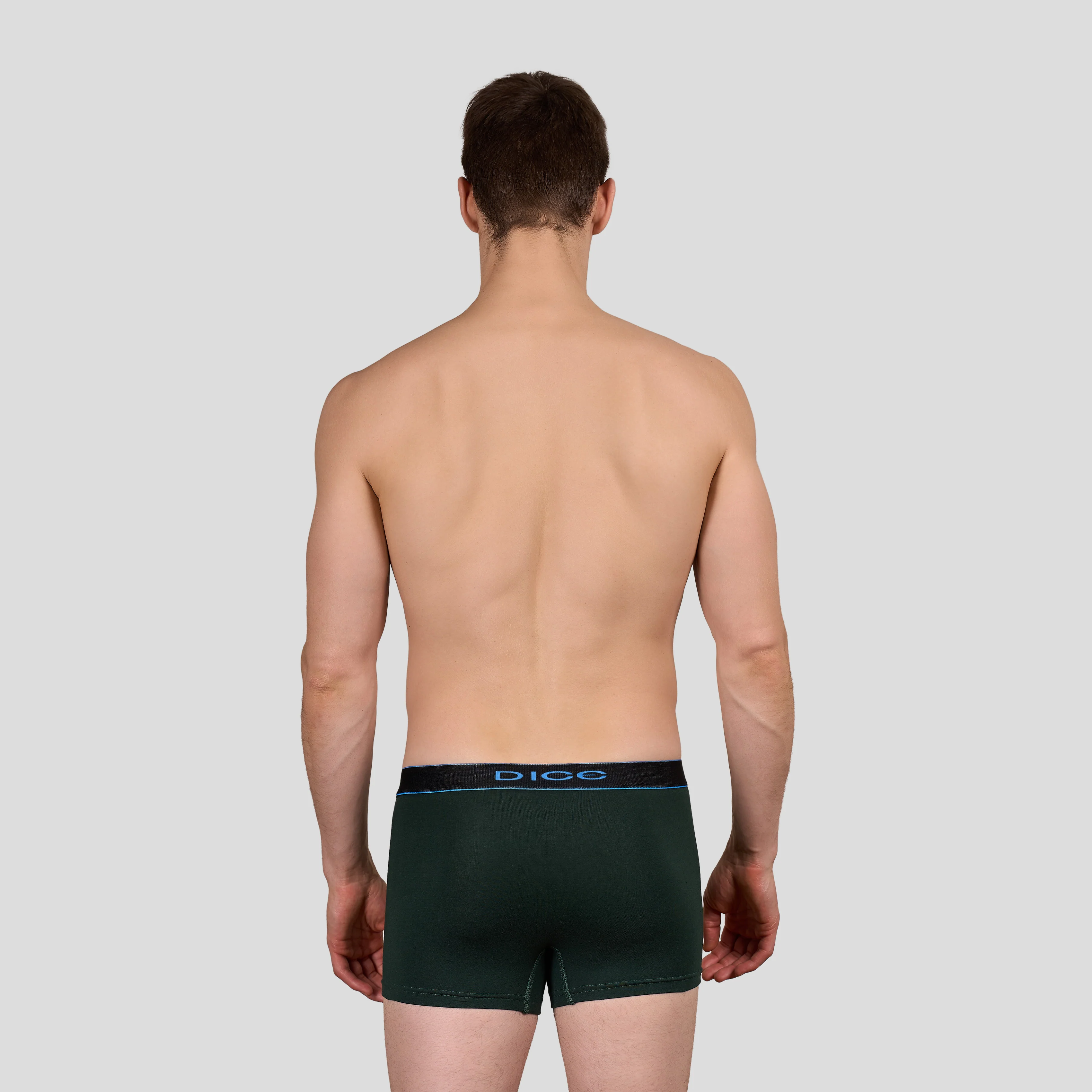 Plain Boxer - Image 19