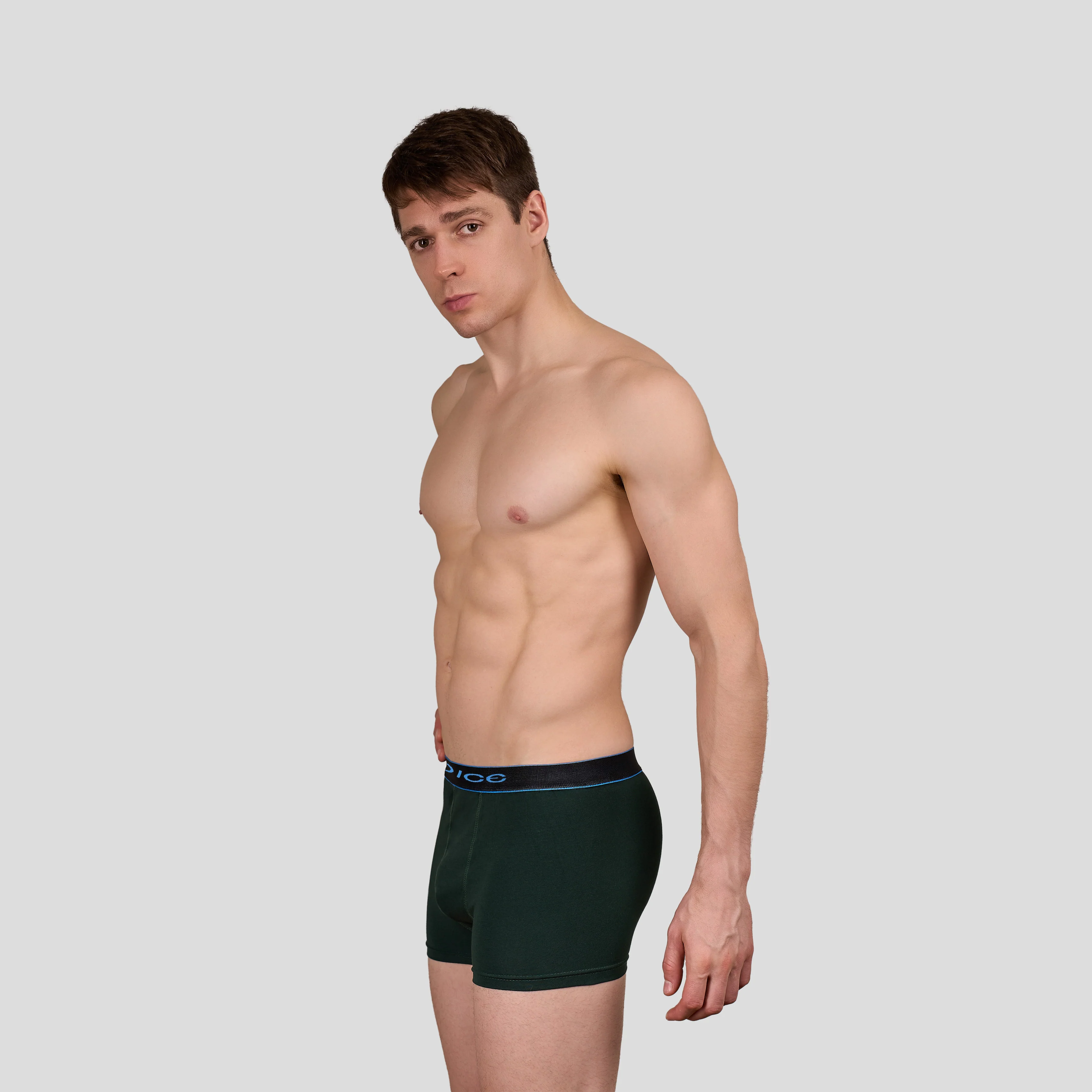 Plain Boxer - Image 20