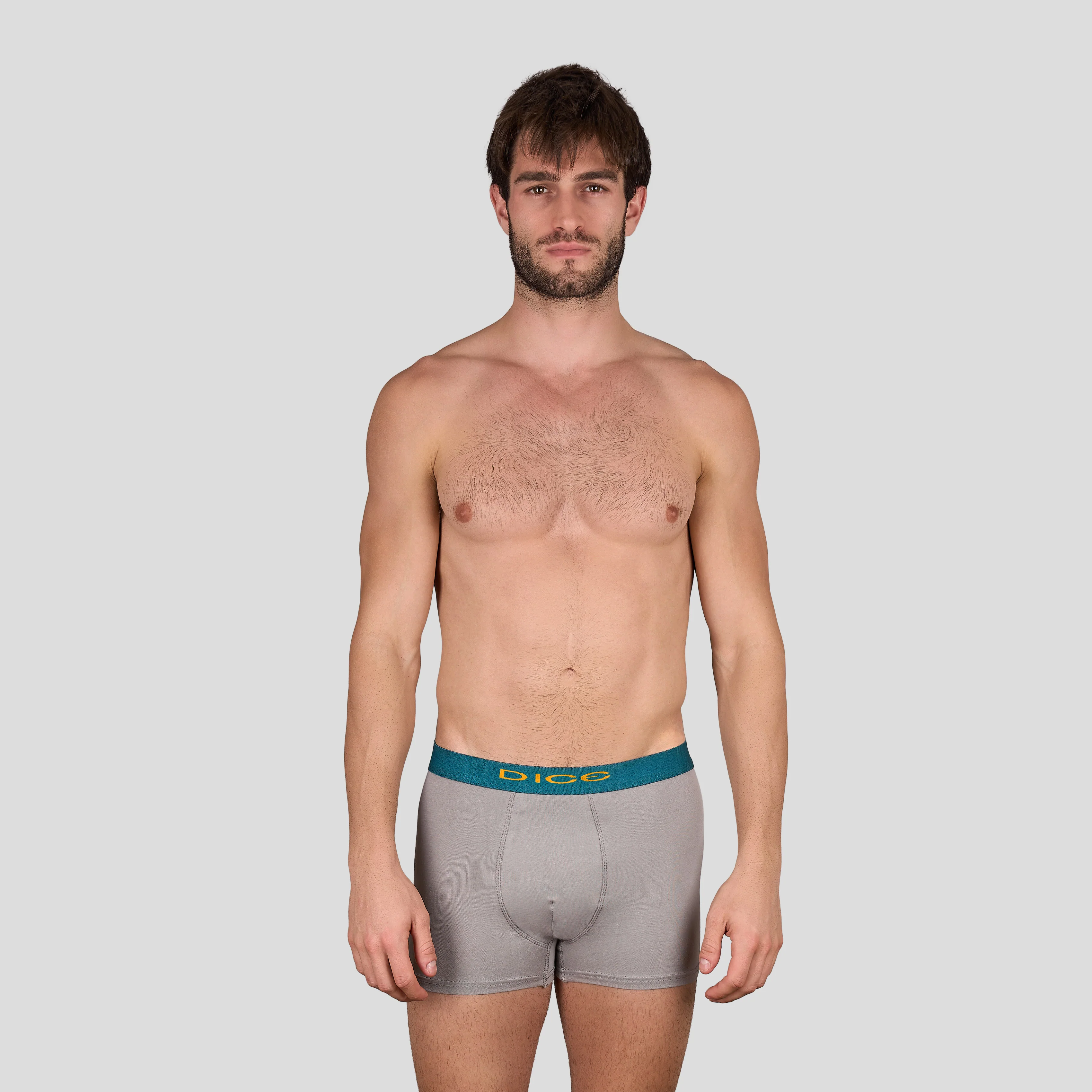 Plain Boxer - Image 21