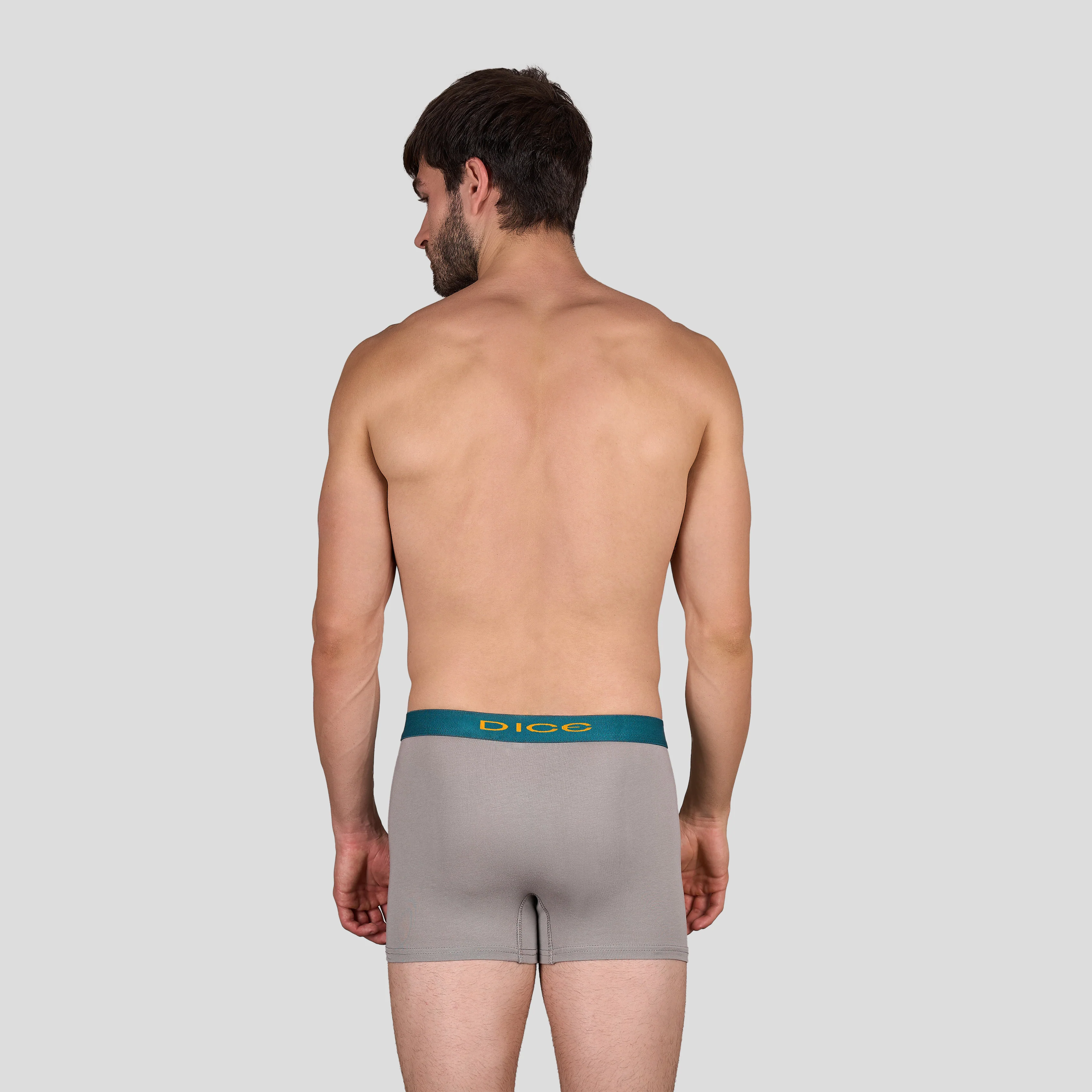 Plain Boxer - Image 22