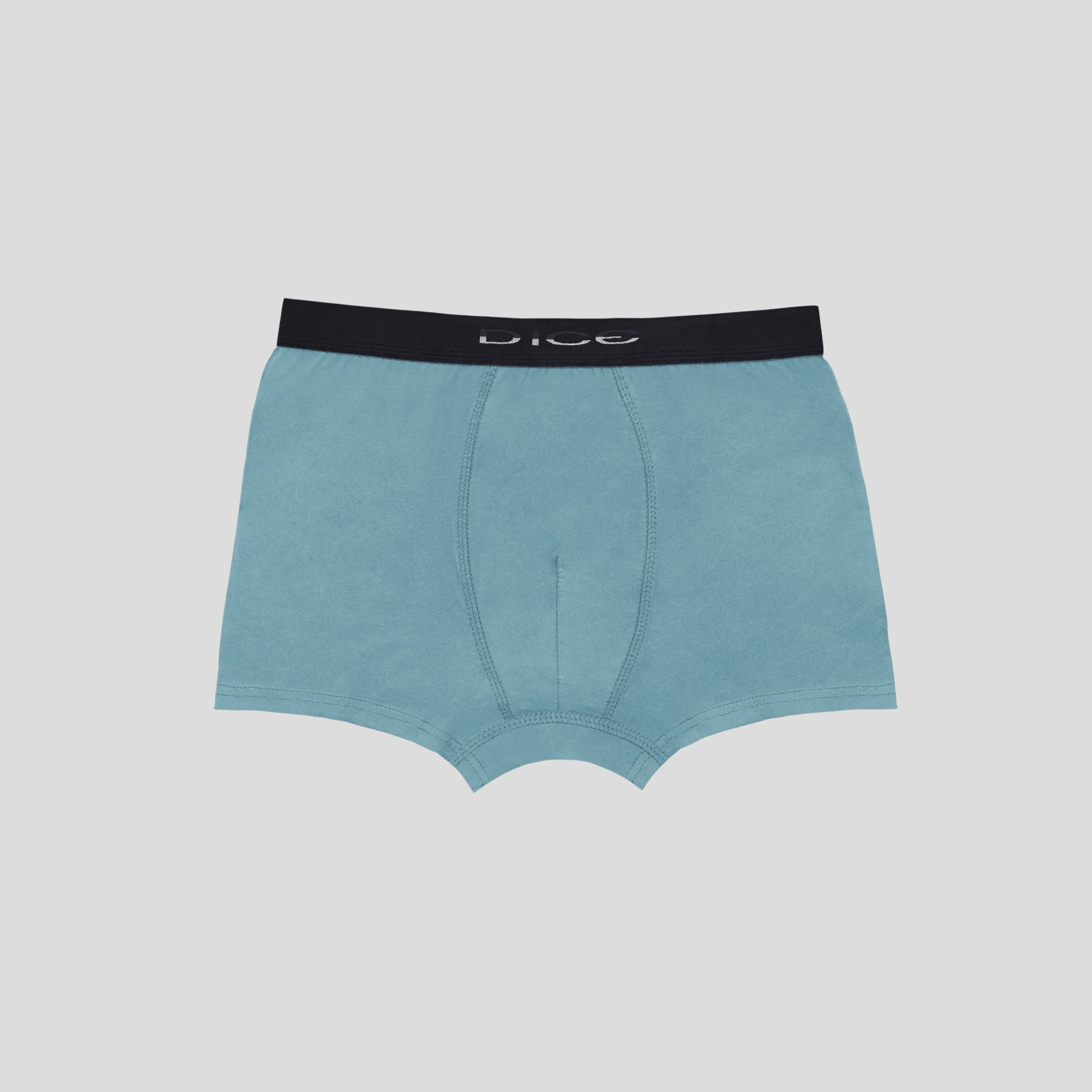 Plain Boxer - Image 27