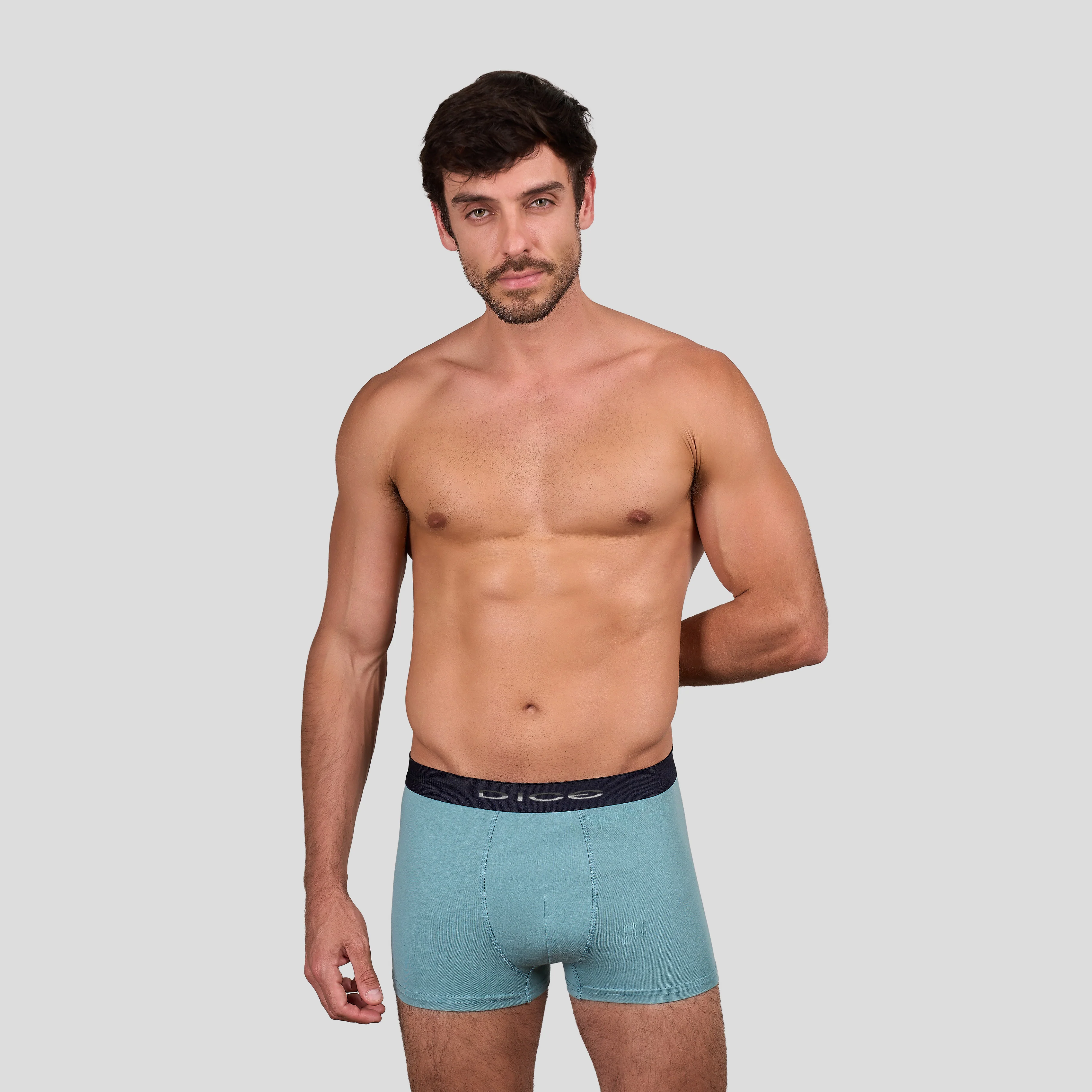 Plain Boxer - Image 28
