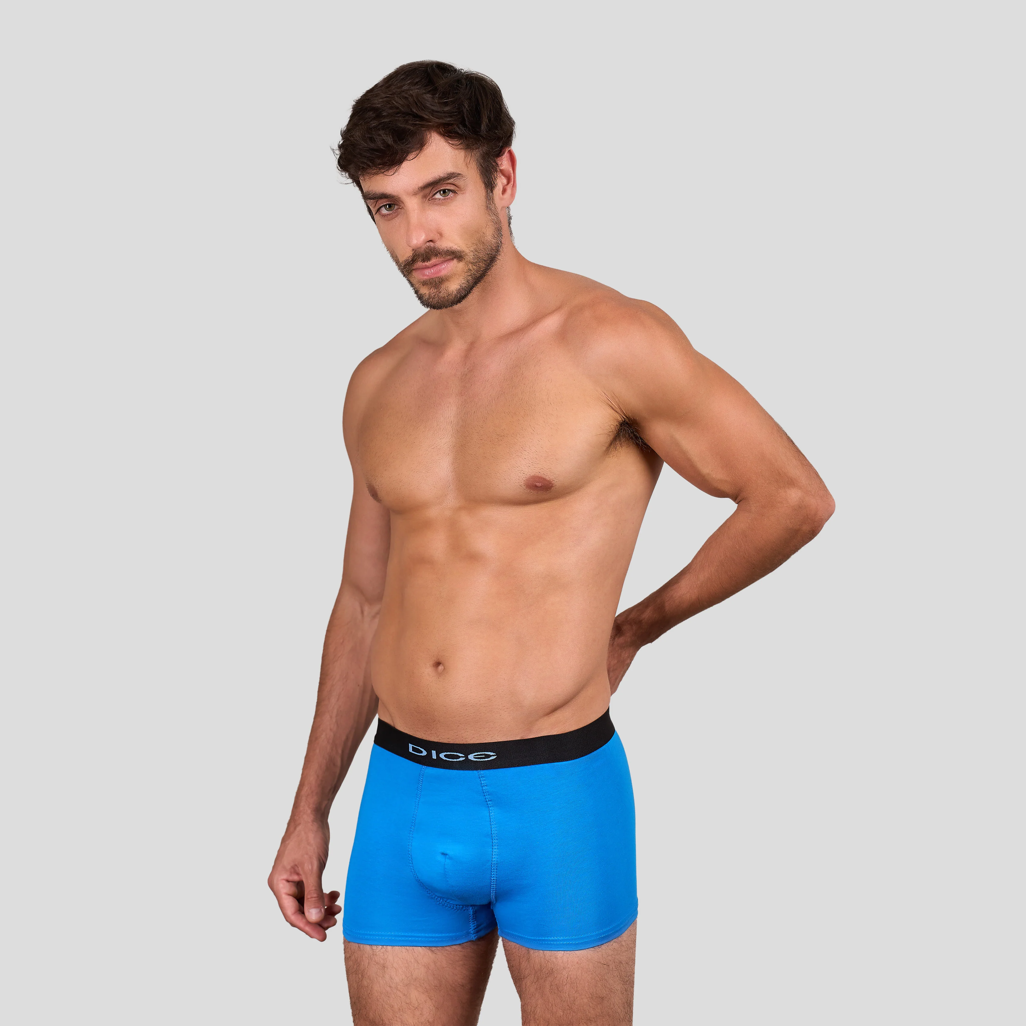 Plain Boxer - Image 3