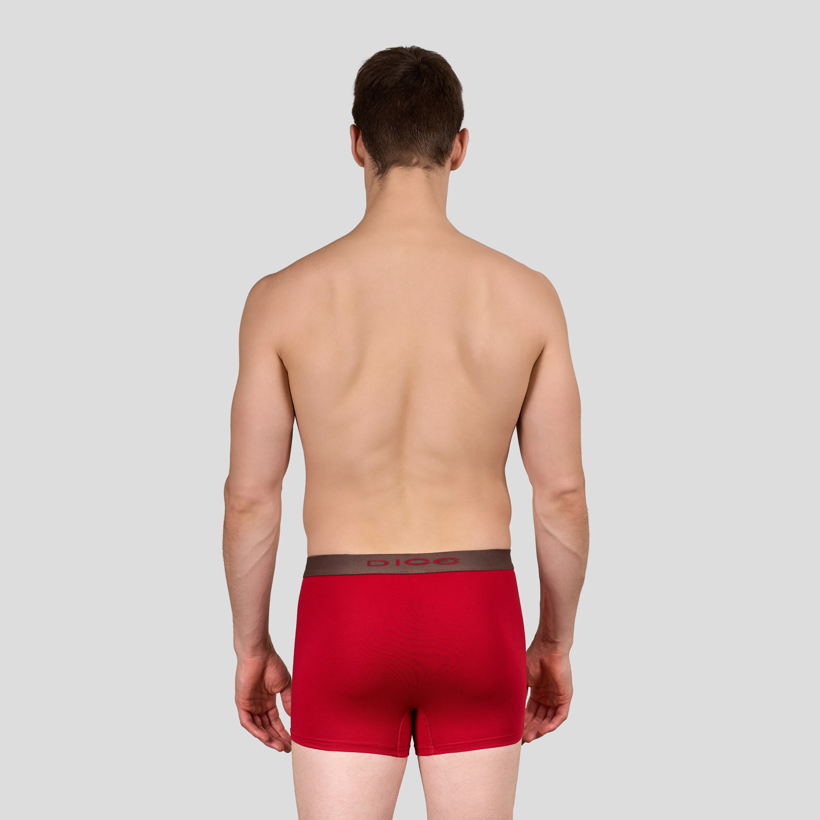 Plain Boxer - Image 32