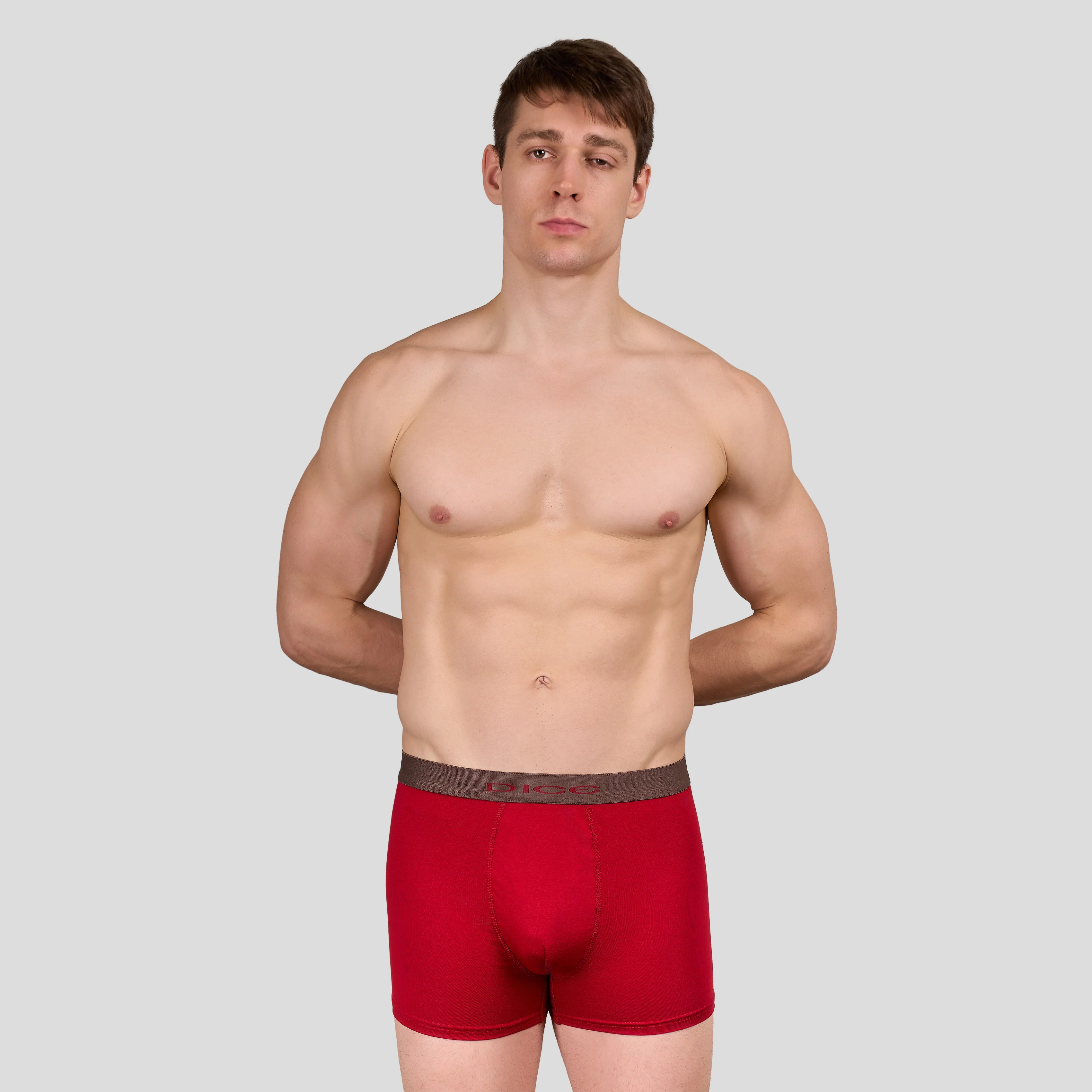 Plain Boxer - Image 34