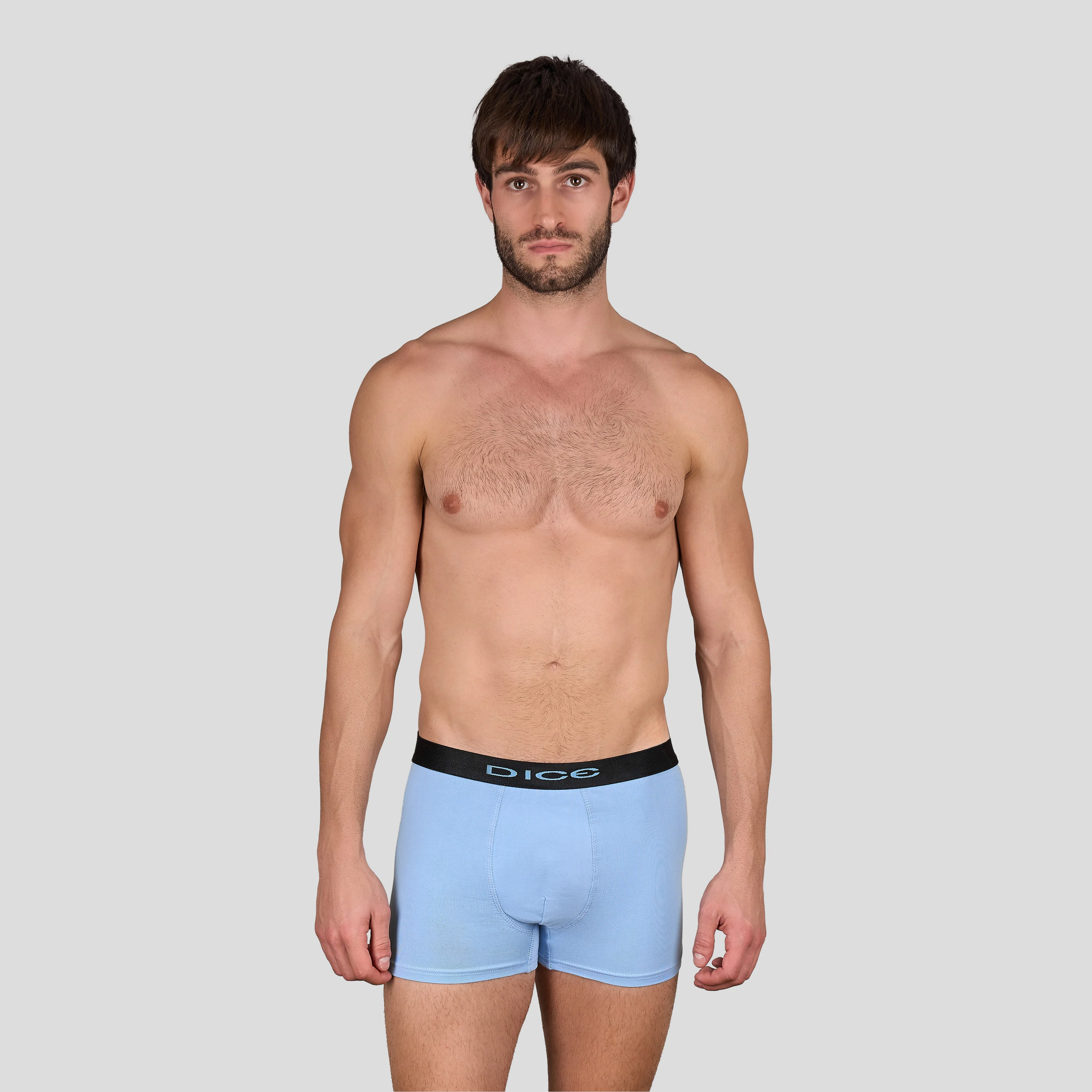 Plain Boxer - Image 5