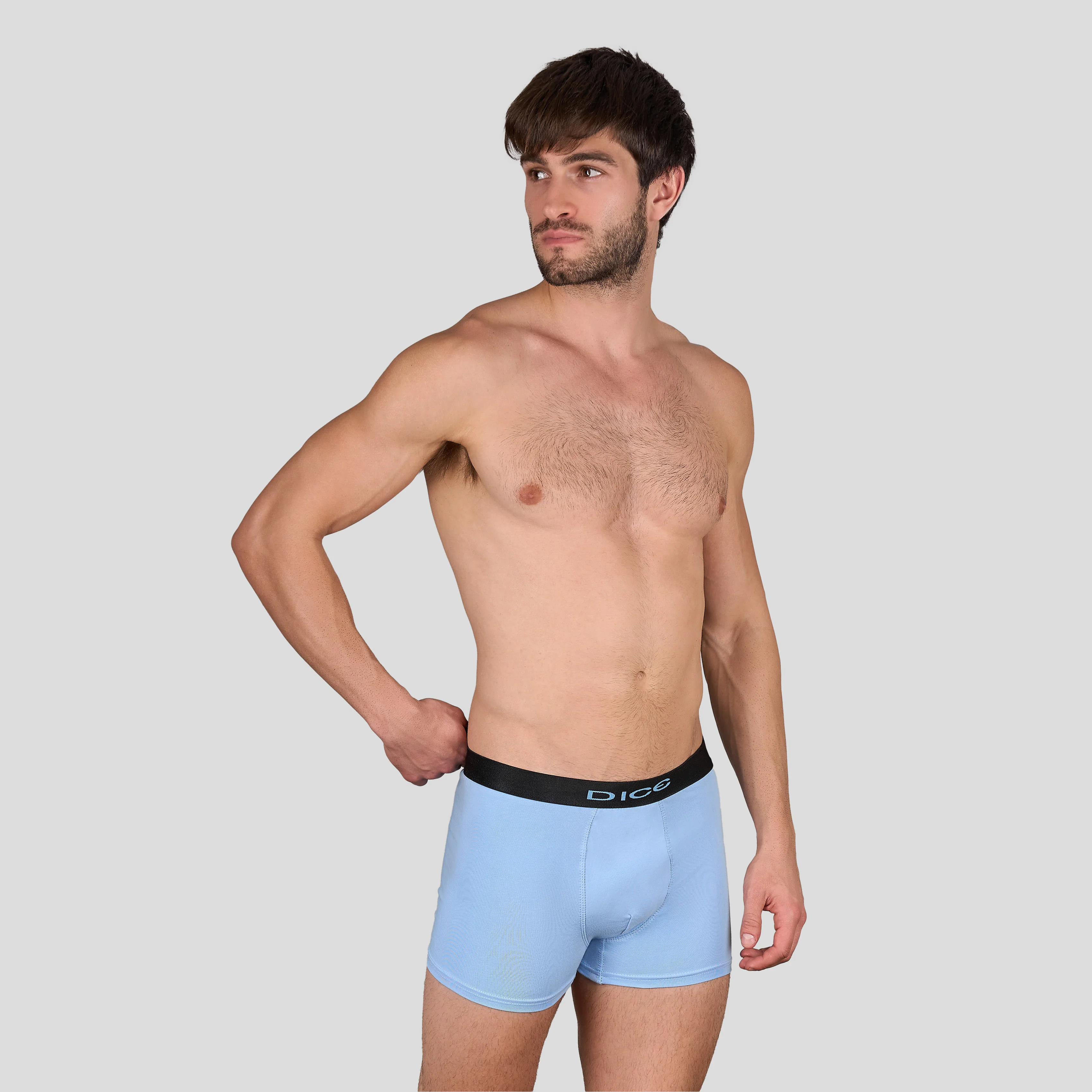 Plain Boxer - Image 7