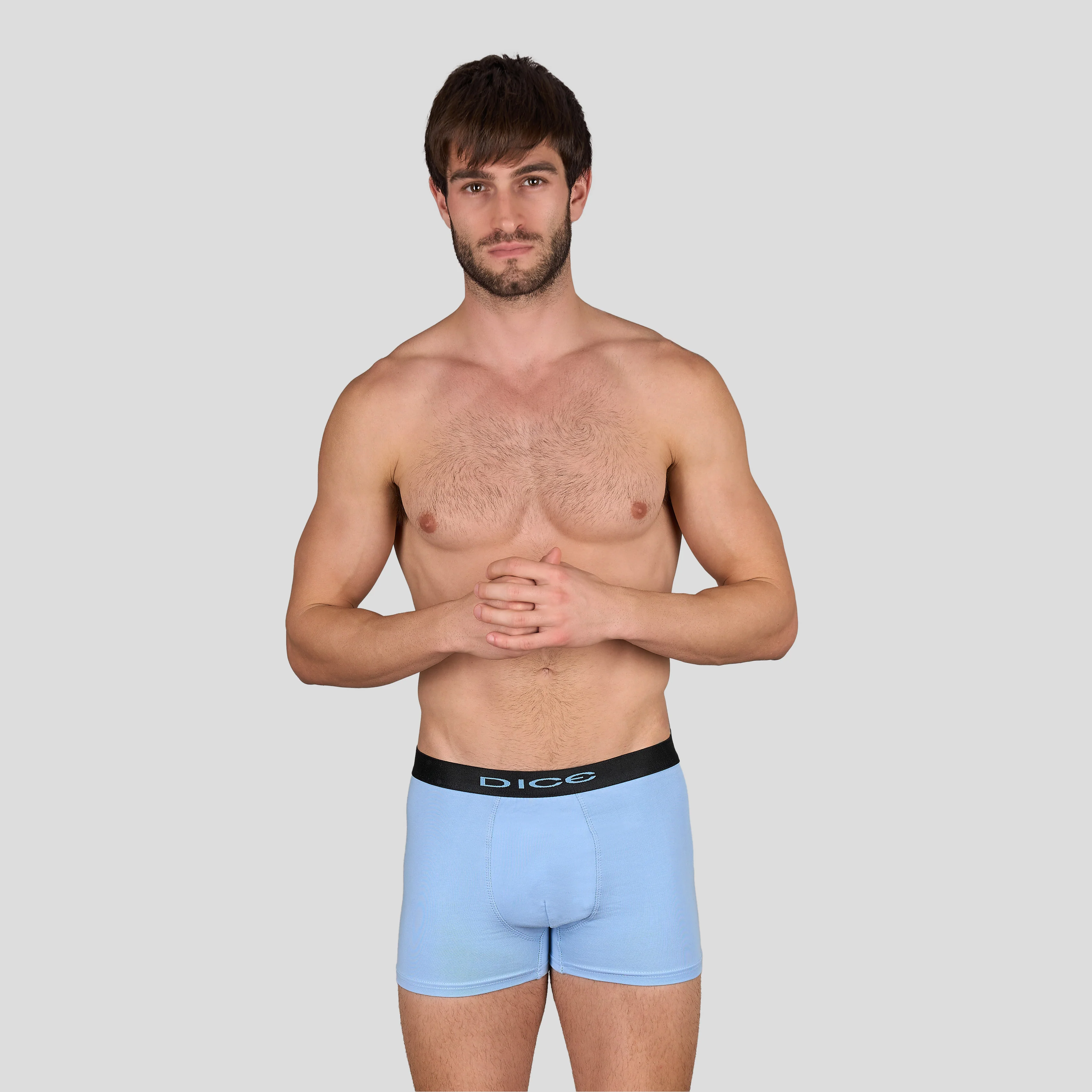 Plain Boxer - Image 8