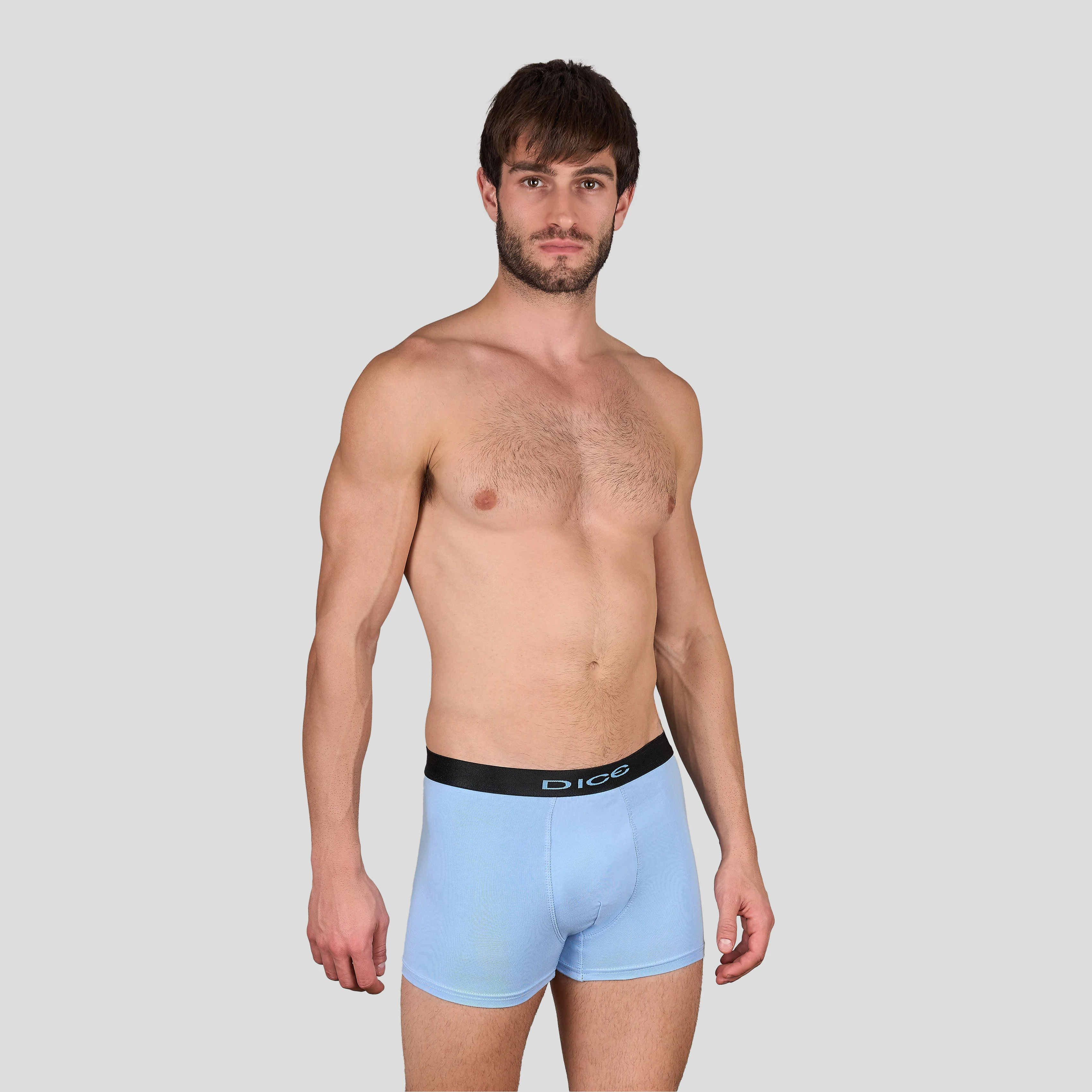 Plain Boxer - Image 9