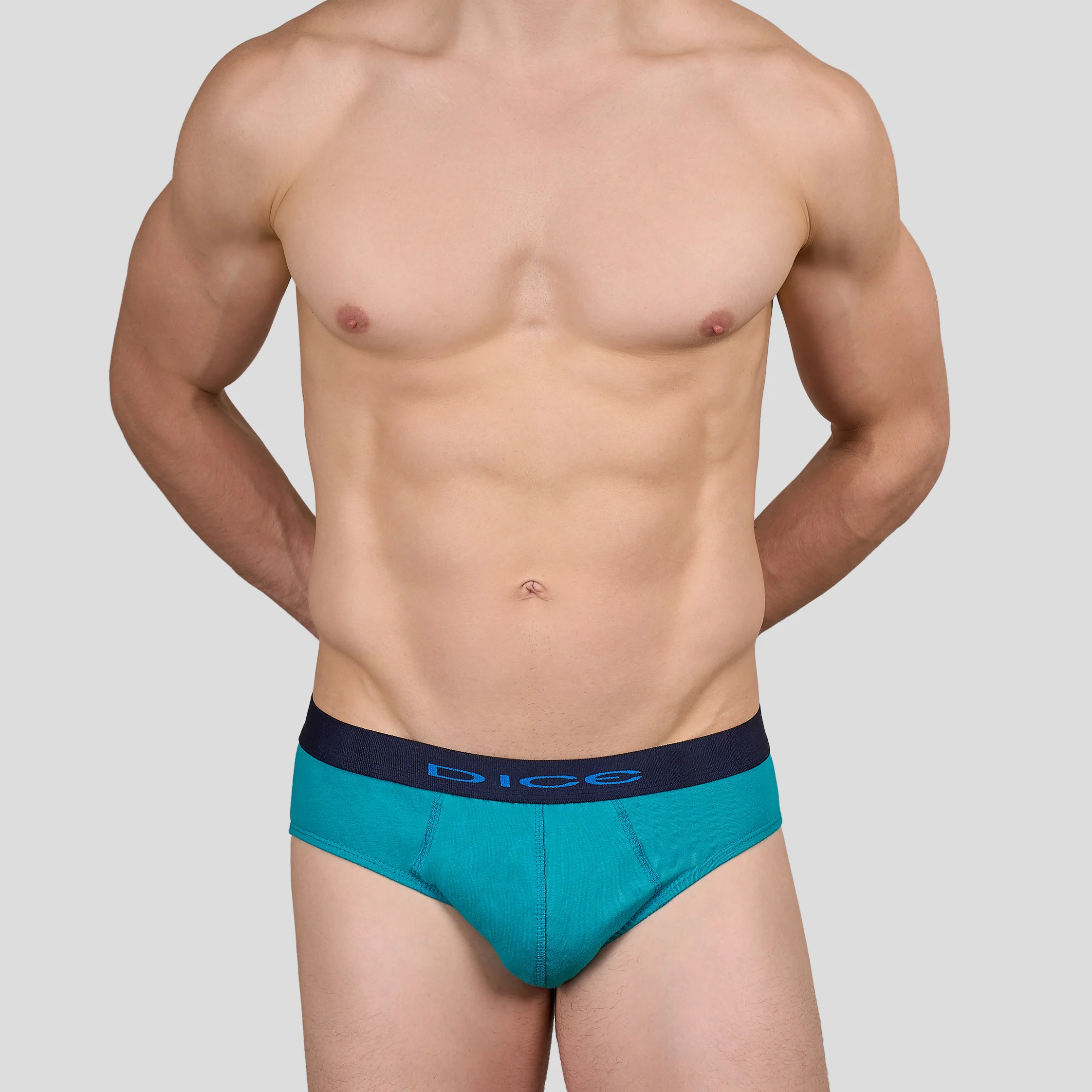 Plain Brief - Image 10