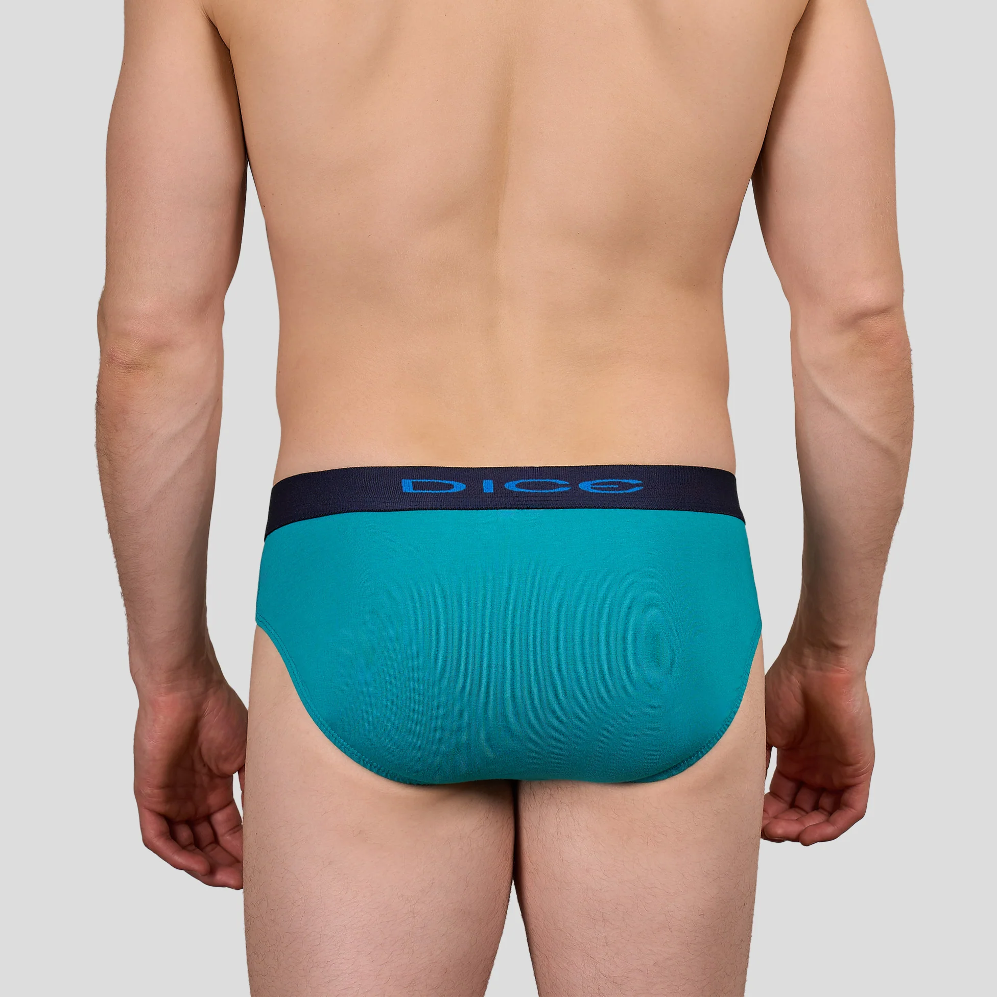 Plain Brief - Image 11
