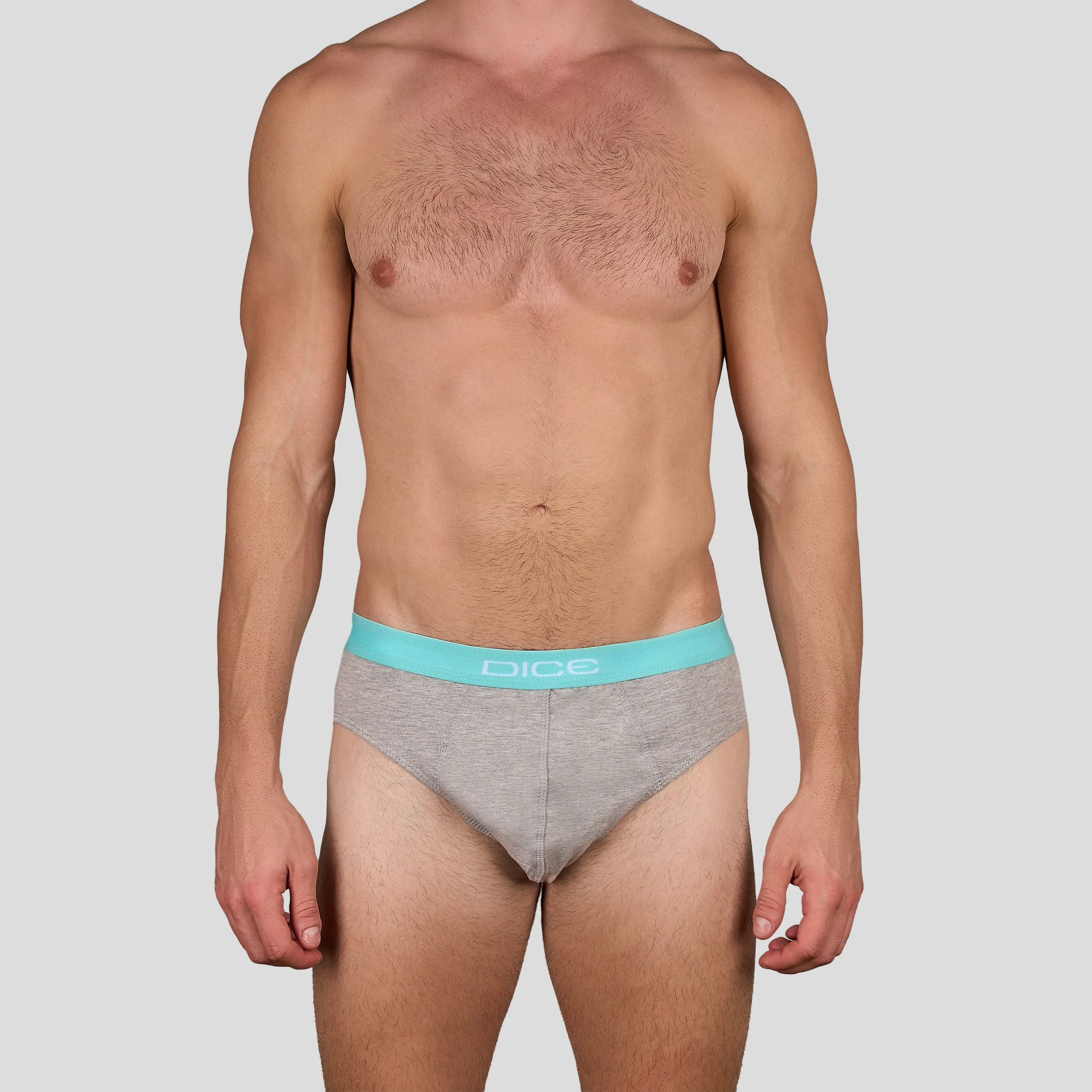 Plain Brief - Image 12