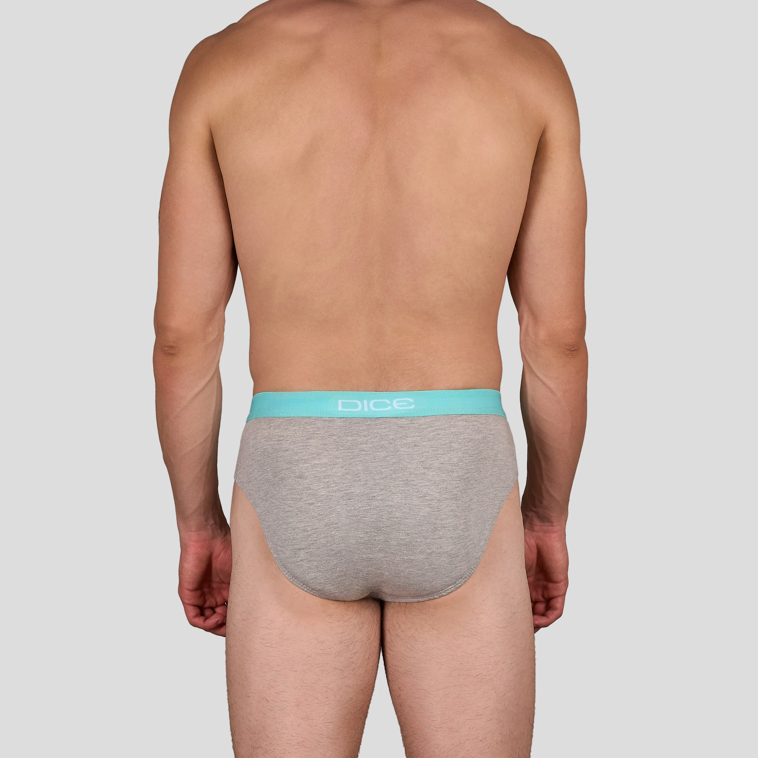 Plain Brief - Image 13