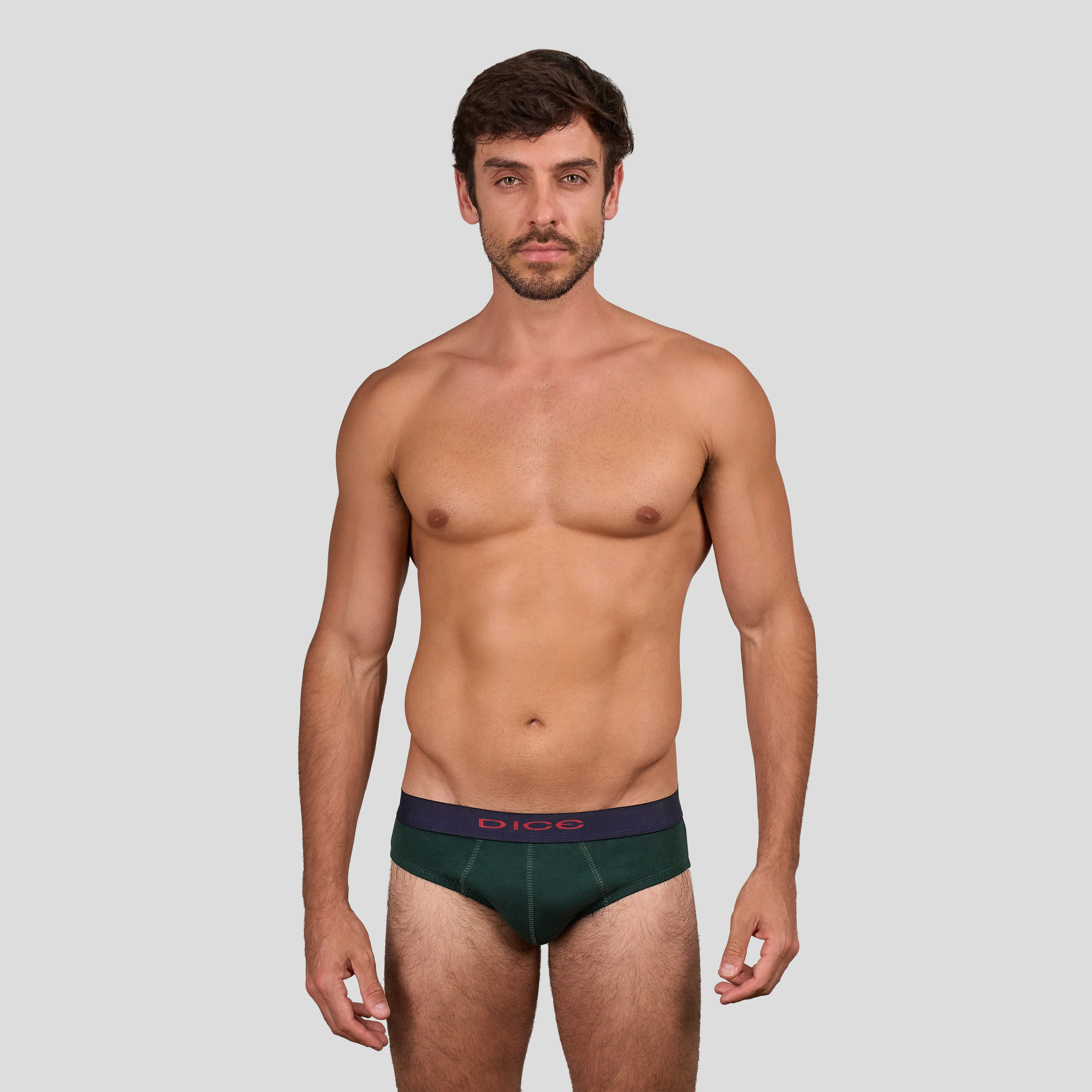 Plain Brief - Image 4