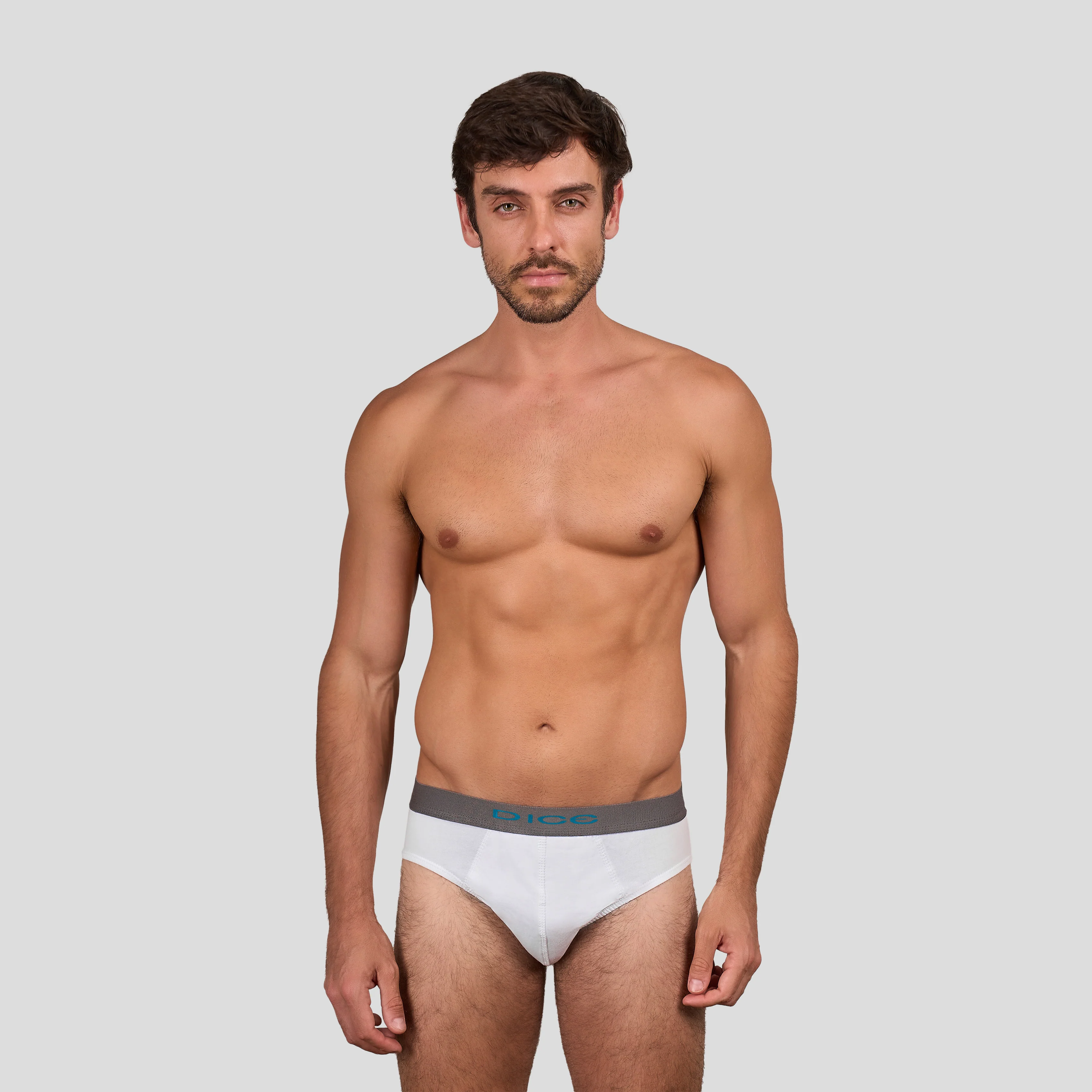 Plain Brief - Image 6